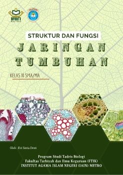 Struktur dan Fungsi Jaringan Tumbuhan