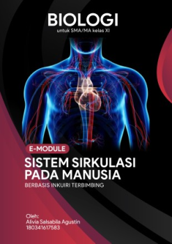 Sistem Sirkulasi Pada Manusia   