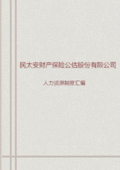 民太安财产保险公估股份有限公司人力资源制度汇编_Neat