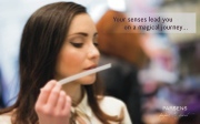Company brochure Parsens