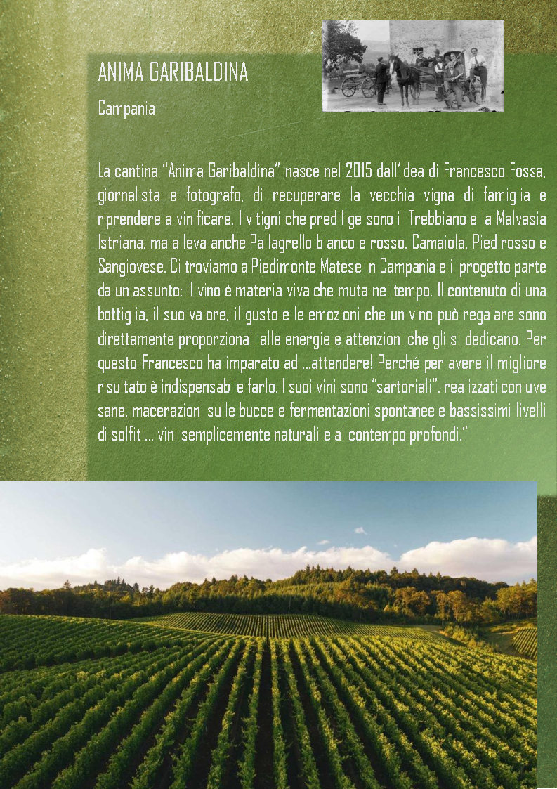 catalogo Wine 2025 bozza