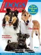 Australian Dogs & Pets - Issue 8