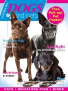 Australian Dogs & Pets Issue 6