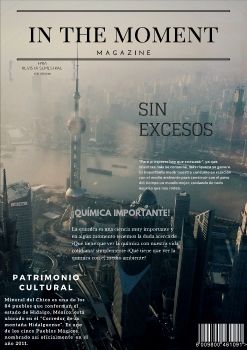 REVISTA