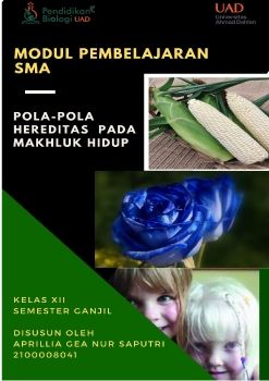 2100008041_APRILLIA GEA N.S_MODULLL_Neat