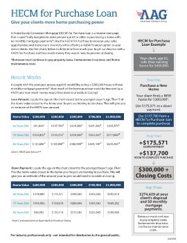 AAG028_HECM for Purchase Estimator Flyer