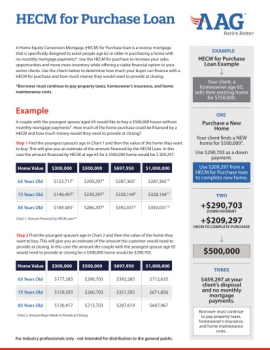 AAG080_HIGH VALUE H4P Estimator Flyer