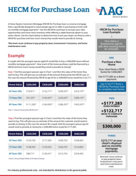 AAG028_H4P Estimator Flyer