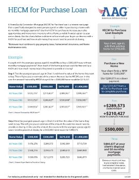 AAG080_HIGH VALUE H4P Estimator Flyer