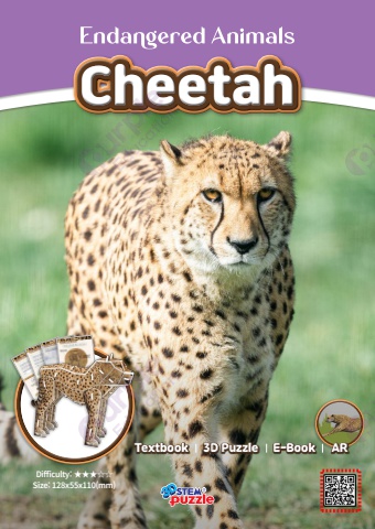 4. Cheetah