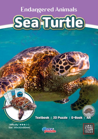 10. Sea Turtle