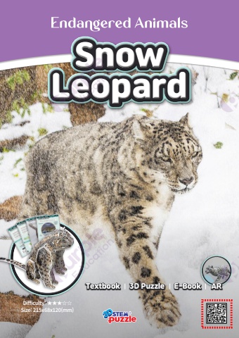 11. Snow Leopard