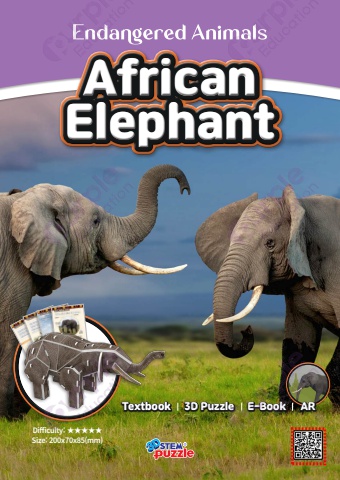 1. African Elephant