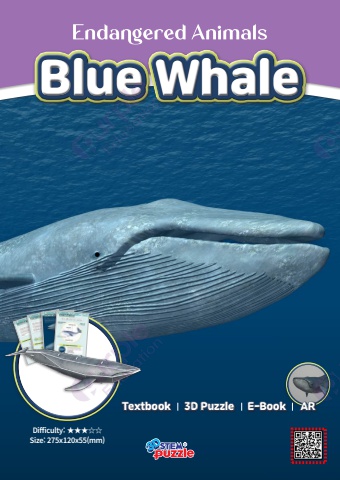 3. Blue Whale