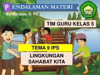 T9 St1_St3 IPS