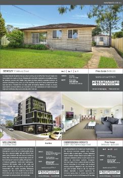 Illawarra Mercury Domain - Saturday 4 February 2017