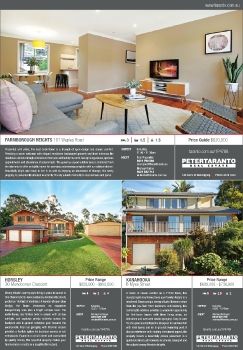 Illawarra Mercury Domain - Saturday 17 June 2017