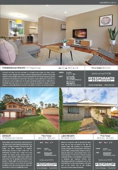 Illawarra Mercury Domain - Saturday 10 June 2017