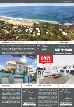 Illawarra Mercury Domain - Saturday 29 April 2017