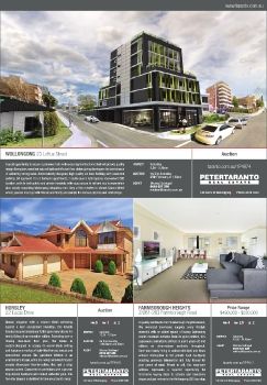 Illawarra Mercury Domain - Saturday 11 February 2014