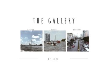 The Gallery of  life