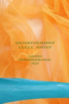 Εικονική Επιχείρηση