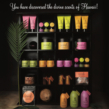 Bettyhula trade brochure