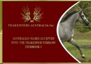 Australian Mares in TV Studbook 1