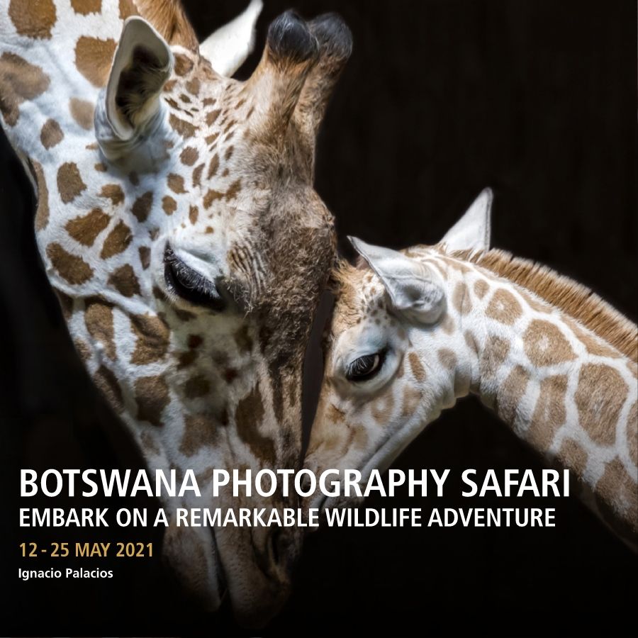BOTSWANA_itinerary 2021_Final HR