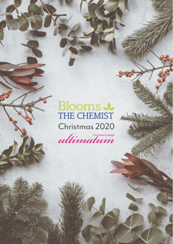 Blooms The Chemist Christmas 2020 Submission Catalogue