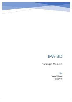 IPA SD