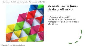 Elementos de una base de datos