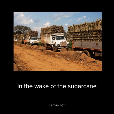 In the wake of sugarcane - Tamás Tóth