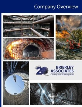 Brierley Company Overview