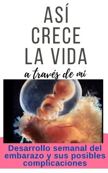 Así crece la vida a través de mi