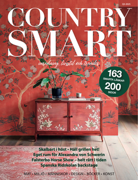 Countrysmart Q3-2025