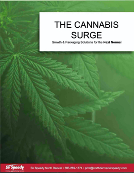 Cannabis Surge