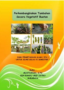 VEGETATIF BUATAN _Neat