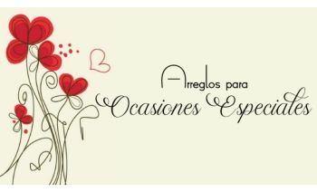Arreglo para ocasiones especiales