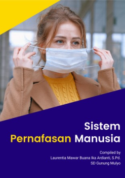 Sistem Pernafasan Manusia