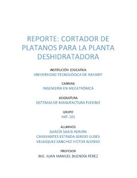 REPORTE: CORTADOR DE PLATANOS PARA LA PLANTA DESHIDRATADORA