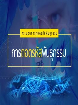 งานนำเสนอ PowerPoint