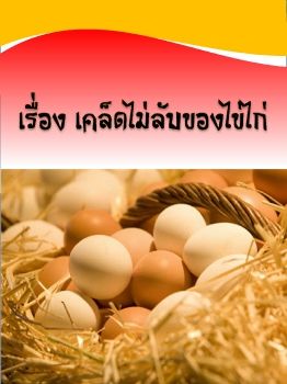 งานนำเสนอ PowerPoint