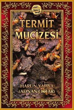  Termit Mucizesi