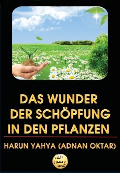 Das Wunder der Schöpfung in den Pflanzen