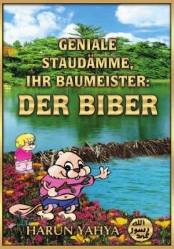 Geniale Staudämme, ihr Baumeister: Der Biber