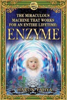 The Miraculous Machine that Works for an Entire Lifetime: Enzyme