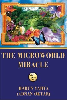 The Microworld Miracle