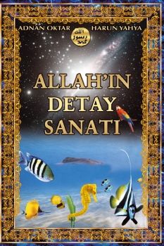  Allah'ın Detay Sanatı