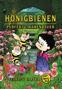 Honigbienen: Perfekte Wabenbauer